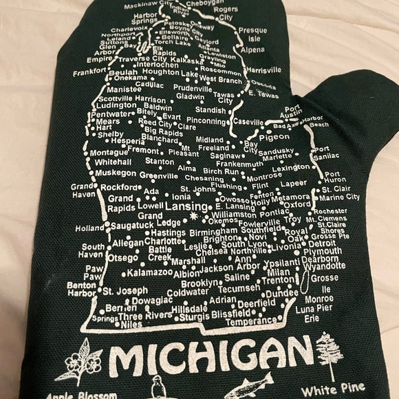 COPY - The Professional Michigan Oven Mitt - Picture 2 of 6
